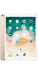 iPad Pro 12.9 (2nd Gen 2017)